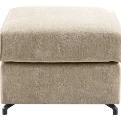 Hocker Licato
