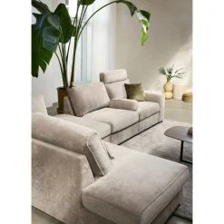 Hocker Licato