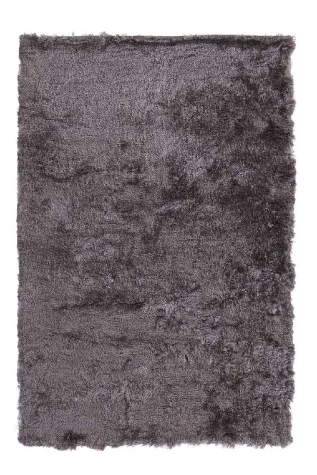 Karpet Pittore