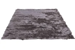 Karpet Pittore