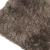 Karpet Pittore