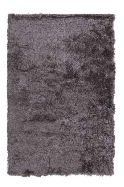 Karpet Pittore