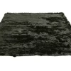 Karpet Pittore