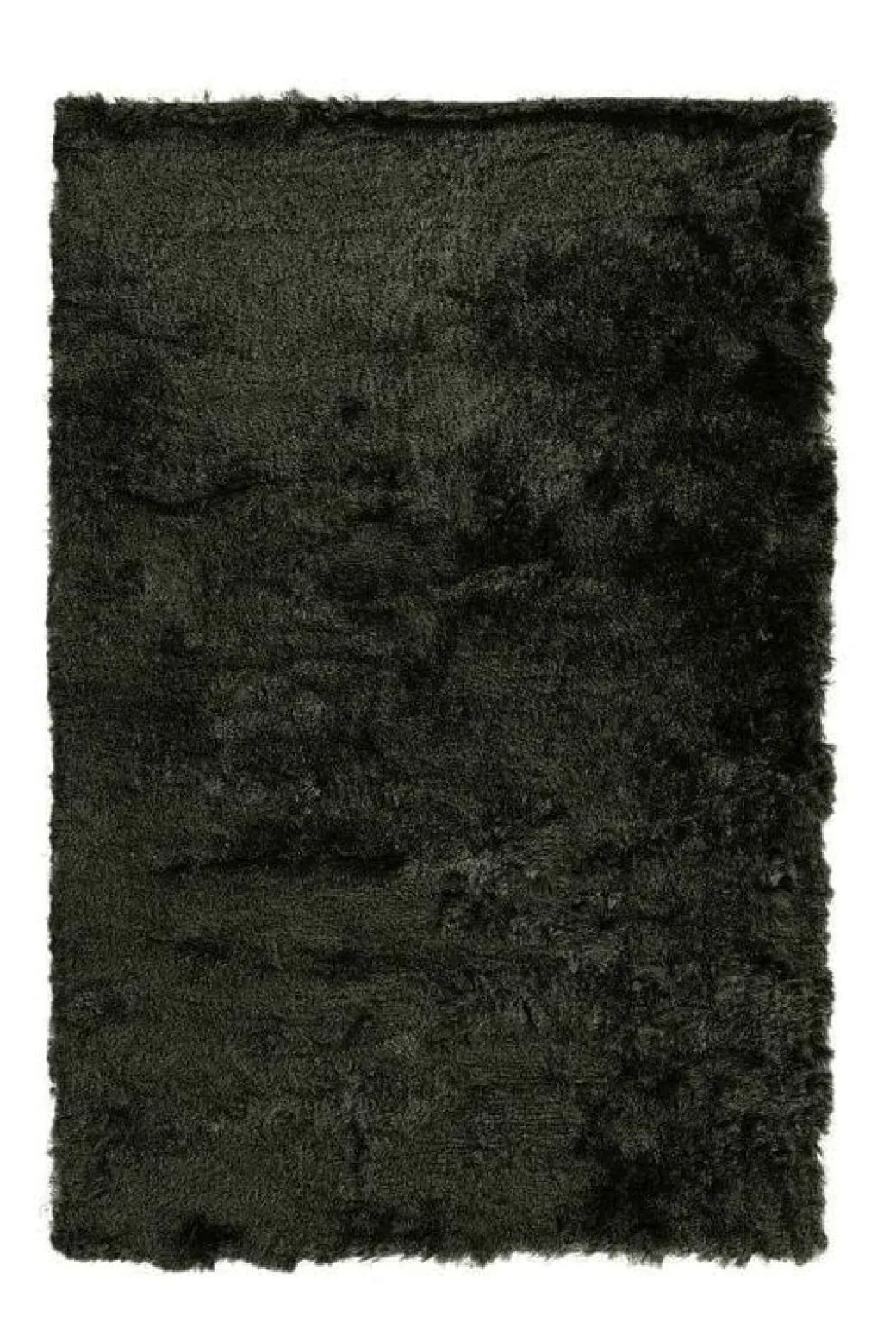 Karpet Pittore
