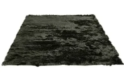 Karpet Pittore