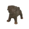 Perrito hond