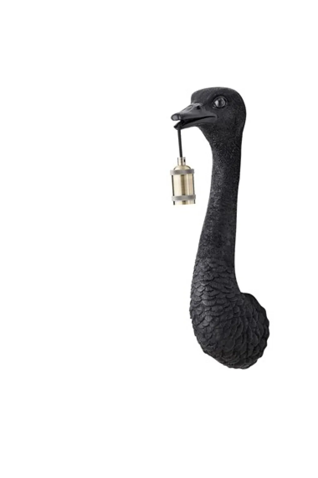 Wandlamp struisvogel
